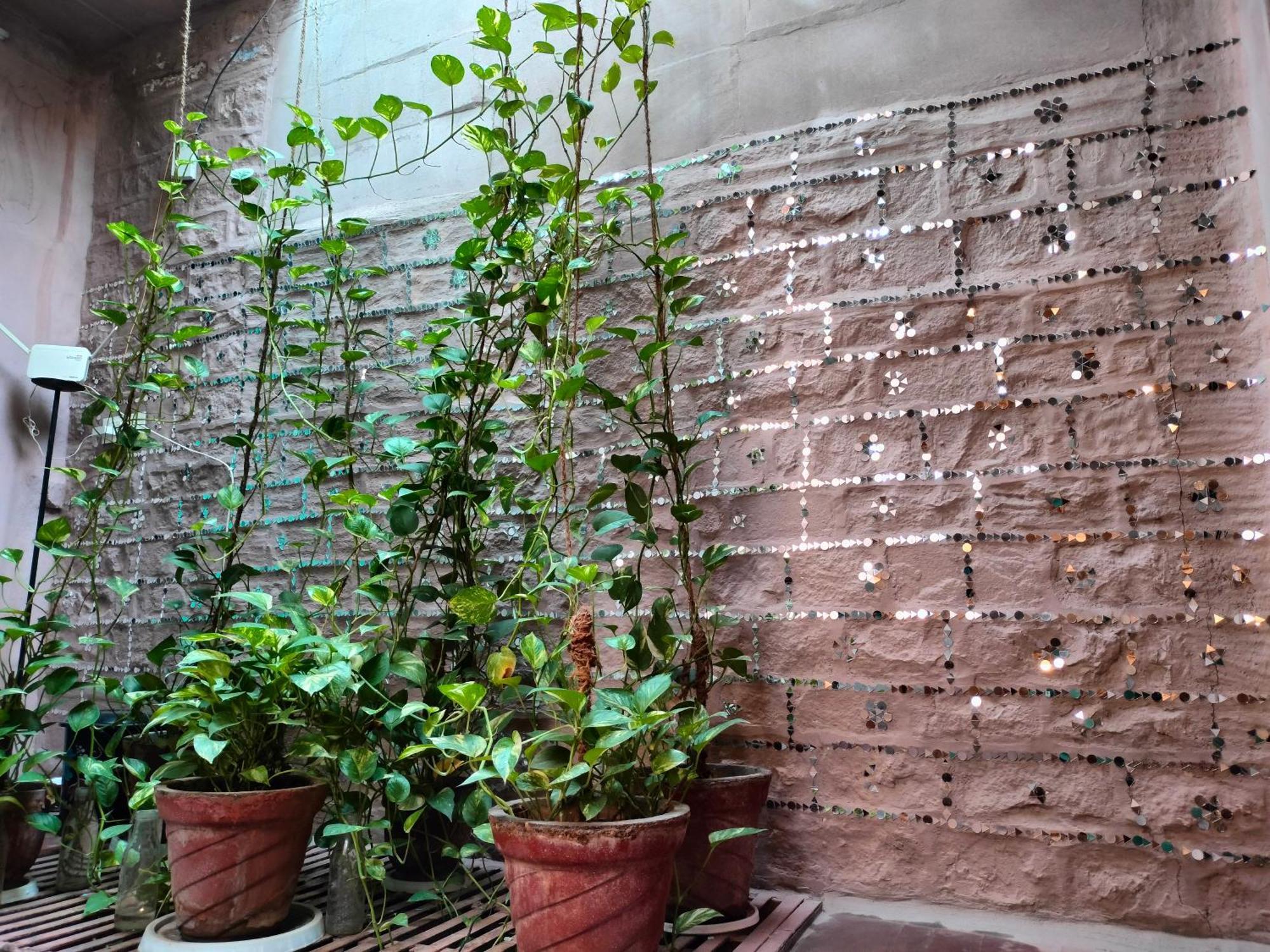 Casa De Jodhpur Ξενοδοχείο Τζοντχπούρ Εξωτερικό φωτογραφία